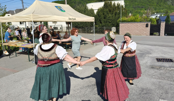25. fotografia fotogalérie Kultúra / Stavanie mája na 1. mája