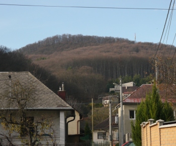 Šport / Beh na hrad