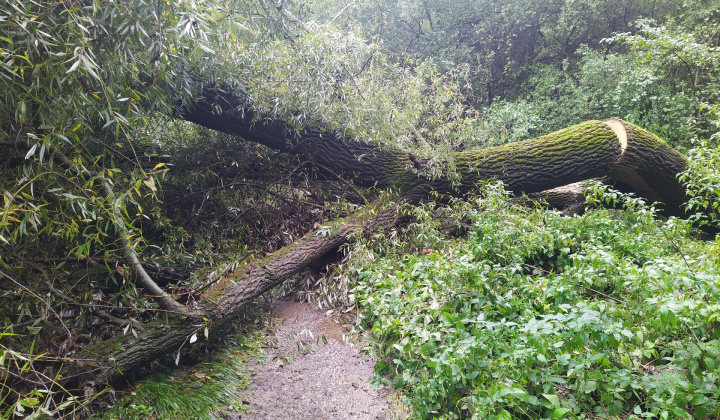 11. fotografia fotogalérie Oznamy OcÚ / Povodeň 2020