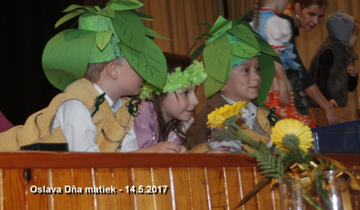 52. fotografia fotogalérie Kultúra / 	Slávnostná akadémia pri príležitosti Dňa Matiek