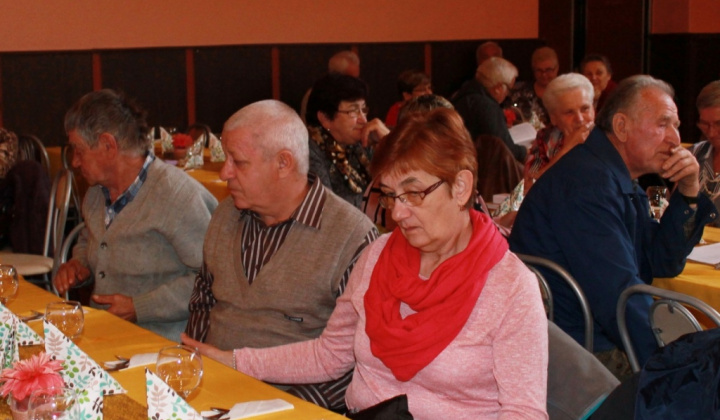 28. fotografia fotogalérie Kultúra / Mesiac úcty k starším 2015