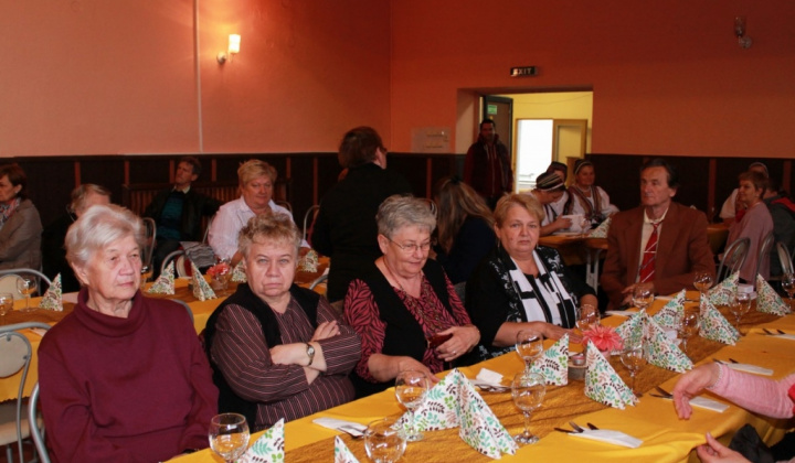 29. fotografia fotogalérie Kultúra / Mesiac úcty k starším 2015