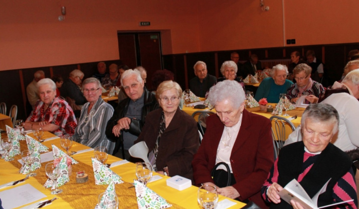 30. fotografia fotogalérie Kultúra / Mesiac úcty k starším 2015