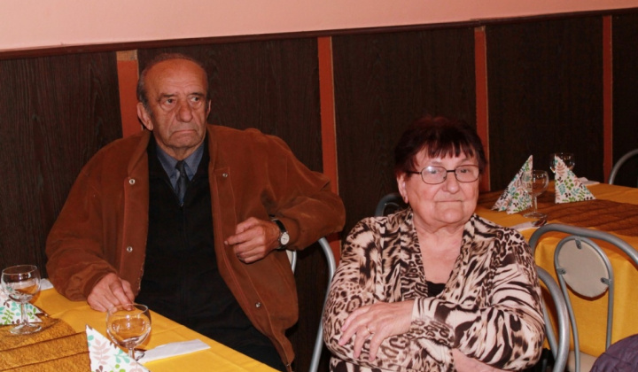35. fotografia fotogalérie Kultúra / Mesiac úcty k starším 2015