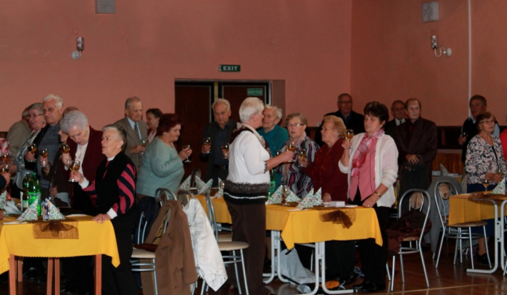 40. fotografia fotogalérie Kultúra / Mesiac úcty k starším 2015