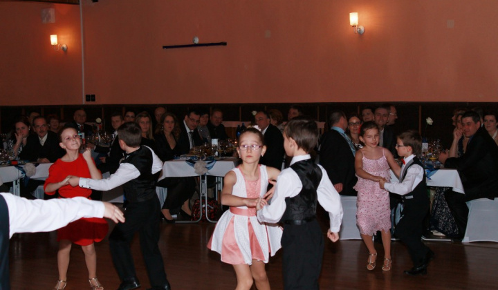 14. fotografia fotogalérie Kultúra / 20. fašiangový ples