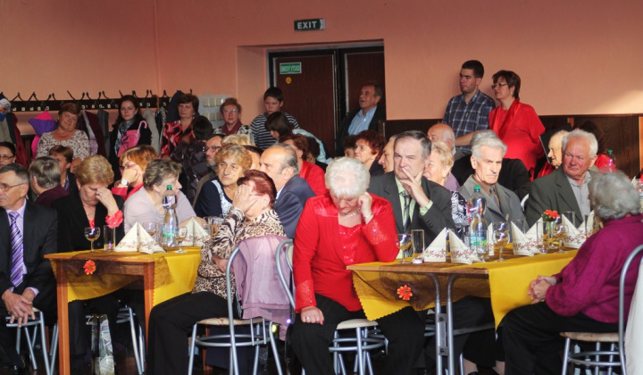 47. fotografia fotogalérie Mesiac úcty k starším 2014