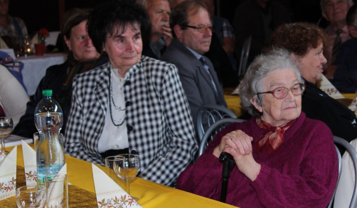 56. fotografia fotogalérie Mesiac úcty k starším 2014