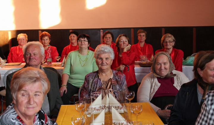 80. fotografia fotogalérie Mesiac úcty k starším 2014