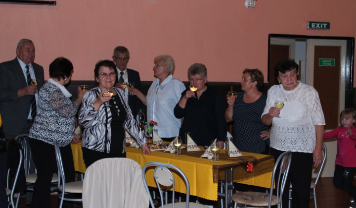 94. fotografia fotogalérie Mesiac úcty k starším 2014