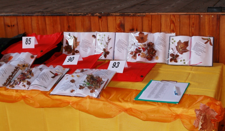 5. fotografia fotogalérie Mesiac úcty k starším 2013