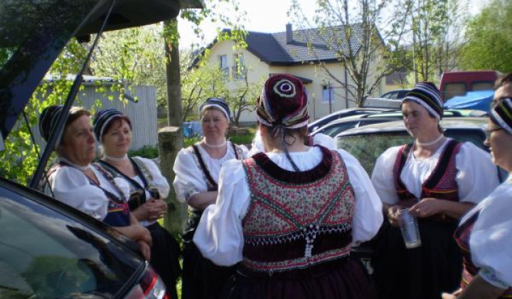 7. fotografia fotogalérie Vrecenko na Dargovskej ruži.