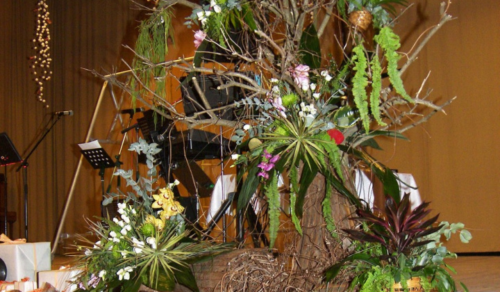 2. fotografia fotogalérie 18. fašiangový ples