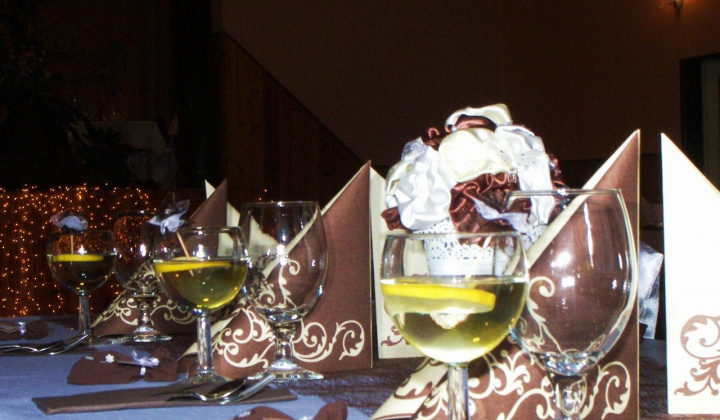 3. fotografia fotogalérie 18. fašiangový ples