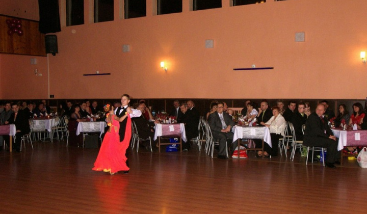 7. fotografia fotogalérie 14. FAŠIANGOVÝ PLES