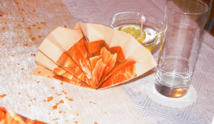 7. fotografia fotogalérie 13. FAŠIANGOVÝ PLES