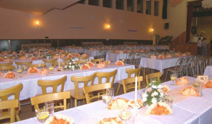 136. fotografia fotogalérie 13. FAŠIANGOVÝ PLES