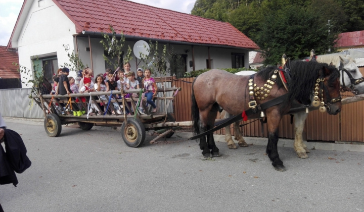 6. fotografia fotogalérie Kysackí harmonikári / Kysackí harmonikári na prehliadke heligonk