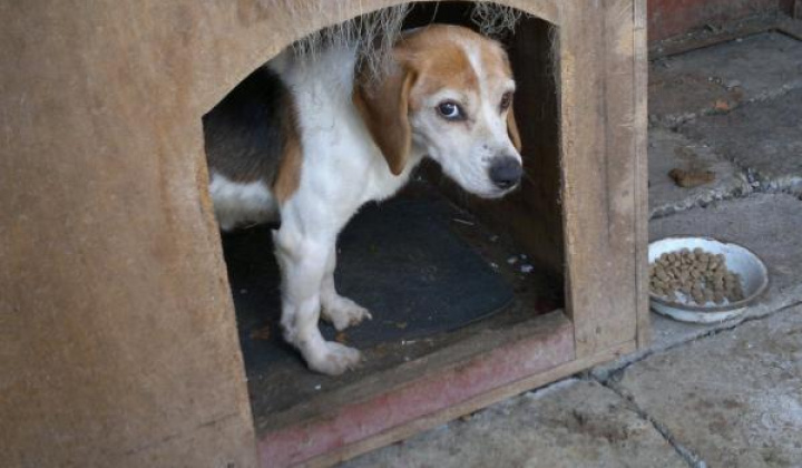 1. fotografia fotogalérie Bígl