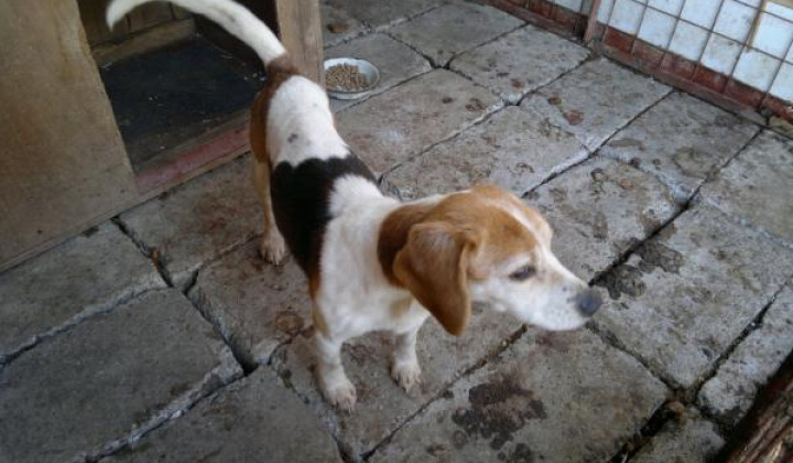 2. fotografia fotogalérie Bígl