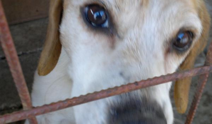 3. fotografia fotogalérie Bígl