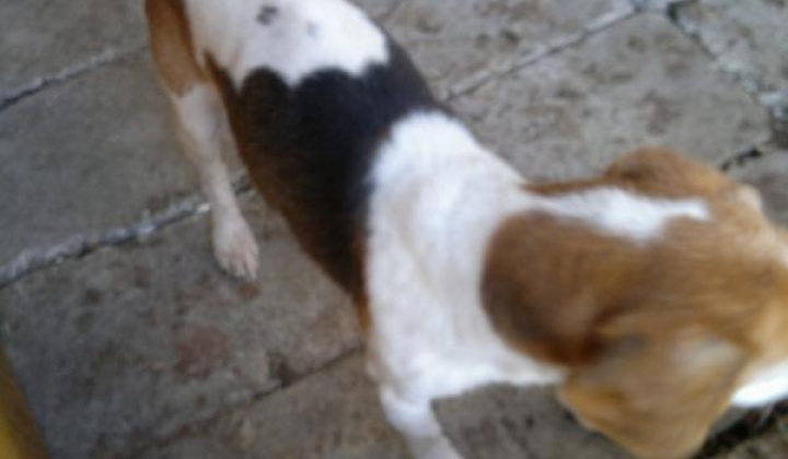 4. fotografia fotogalérie Bígl