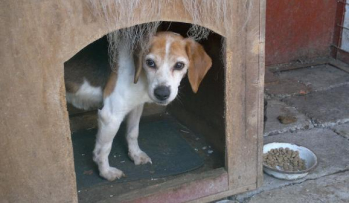 5. fotografia fotogalérie Bígl