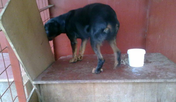 2. fotografia fotogalérie Slovenský kopov