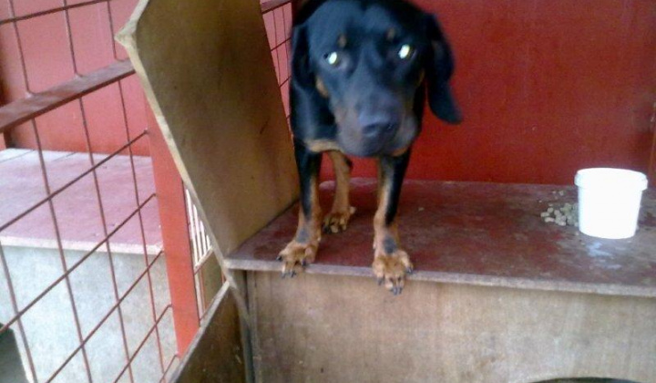 4. fotografia fotogalérie Slovenský kopov