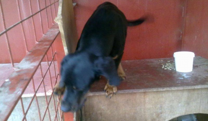 5. fotografia fotogalérie Slovenský kopov