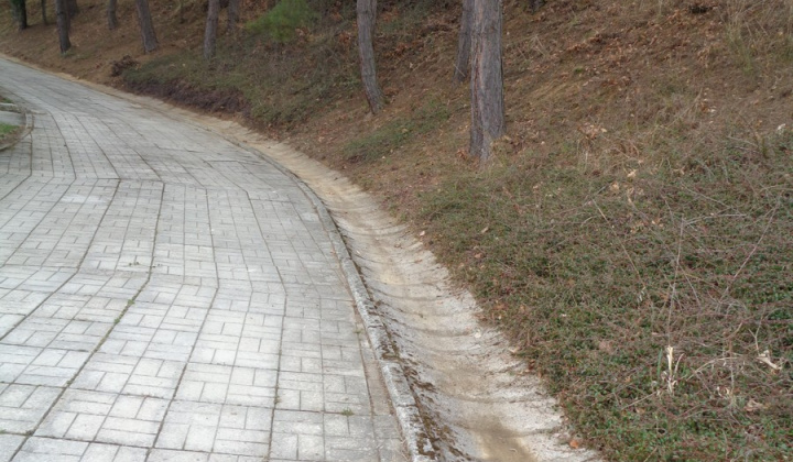 12. fotografia fotogalérie Jednota dôchodcov / Brigáda ZO JDS na cintorínoch 30.3.2022