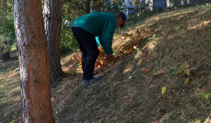 3. fotografia fotogalérie Jednota dôchodcov / Brigáda na upratovaní cintorínov