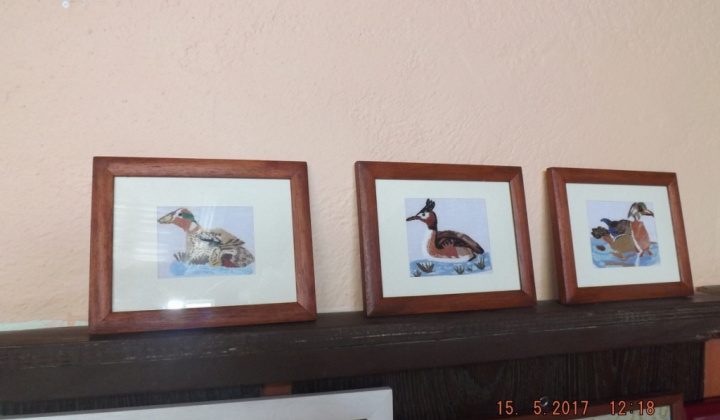 10. fotografia fotogalérie Jednota dôchodcov / oslava Dňa matiek