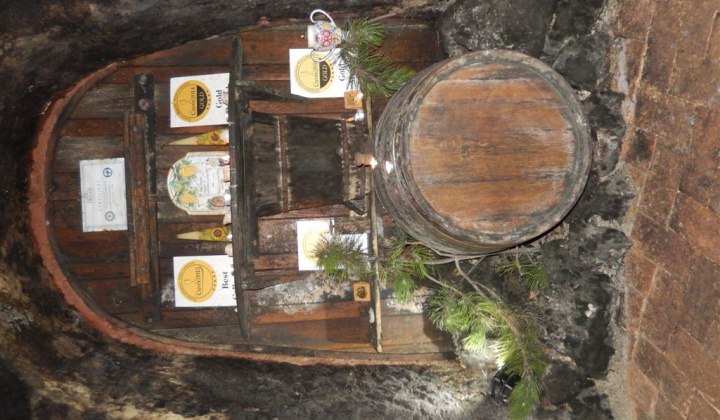 4. fotografia fotogalérie Jednota dôchodcov / Vínna koštovka v Malej Tŕni 