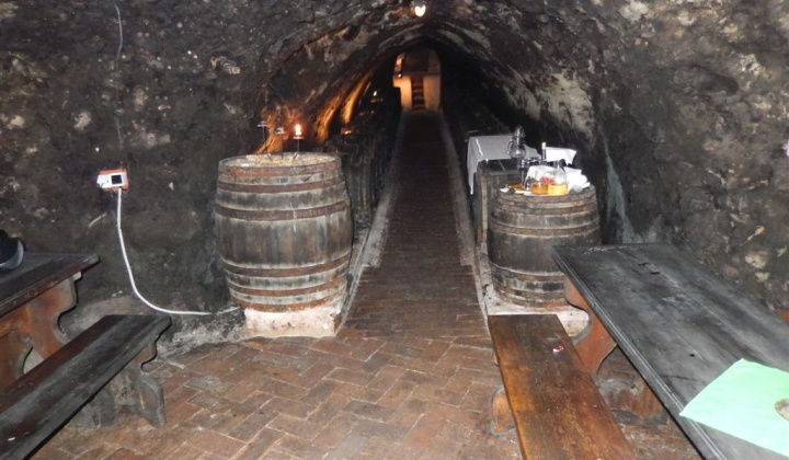 23. fotografia fotogalérie Jednota dôchodcov / Vínna koštovka v Malej Tŕni 