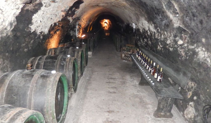 24. fotografia fotogalérie Jednota dôchodcov / Vínna koštovka v Malej Tŕni 