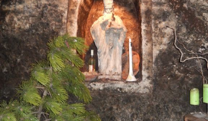 25. fotografia fotogalérie Jednota dôchodcov / Vínna koštovka v Malej Tŕni 