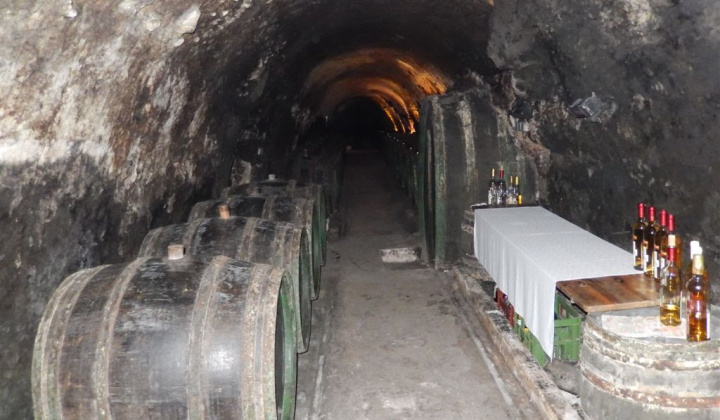 26. fotografia fotogalérie Jednota dôchodcov / Vínna koštovka v Malej Tŕni 