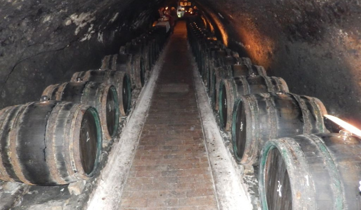 28. fotografia fotogalérie Jednota dôchodcov / Vínna koštovka v Malej Tŕni 