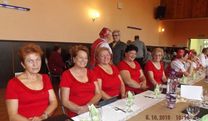 17. fotografia fotogalérie Jednota dôchodcov / Krajská prehliadka speváckych skupín – senio