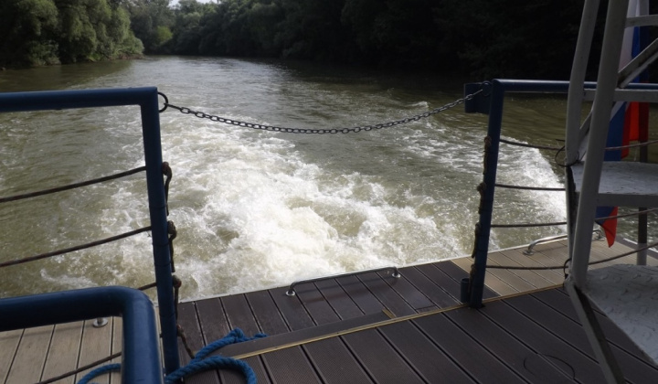 28. fotografia fotogalérie Jednota dôchodcov / Plavba po Bodrogu