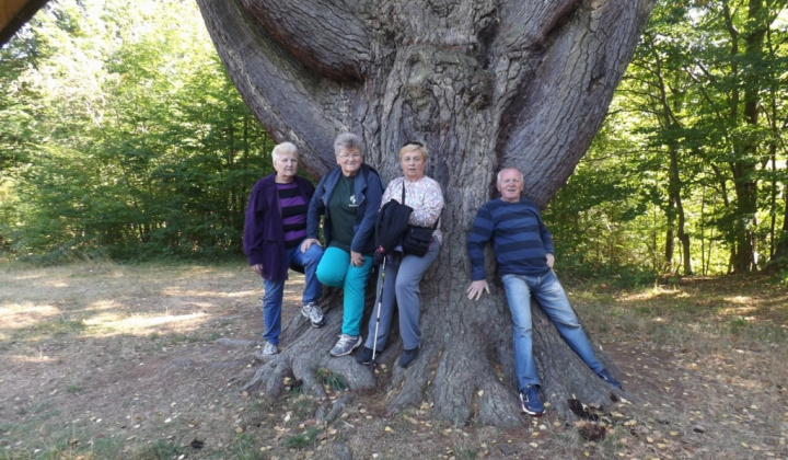 12. fotografia fotogalérie Jednota dôchodcov / Pobyt v Novej Ľubobni