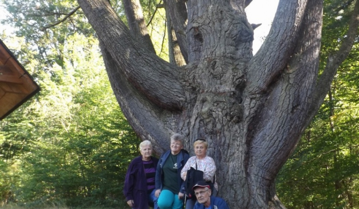 14. fotografia fotogalérie Jednota dôchodcov / Pobyt v Novej Ľubobni