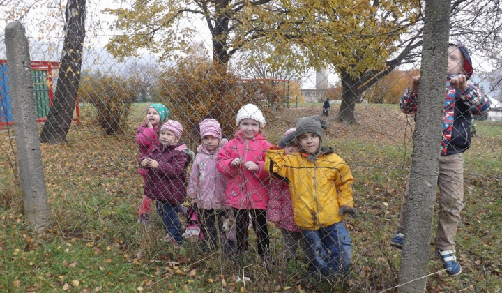 35. fotografia fotogalérie Jednota dôchodcov / Pocta padlým 11.11.2014