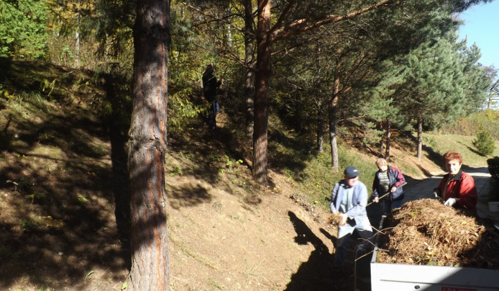 23. fotografia fotogalérie Jednota dôchodcov / Brigáda na cintorínoch