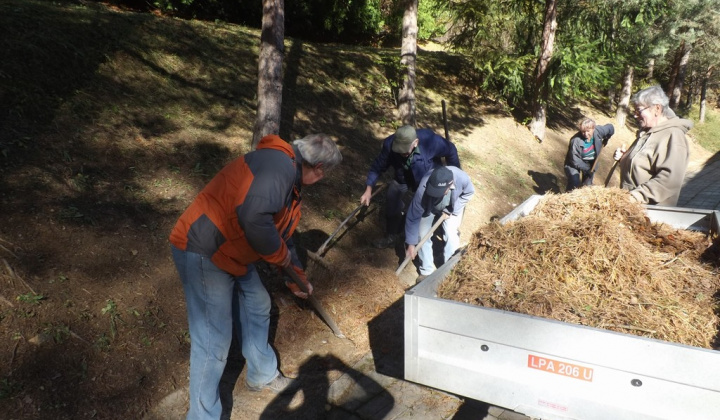 31. fotografia fotogalérie Jednota dôchodcov / Brigáda na cintorínoch