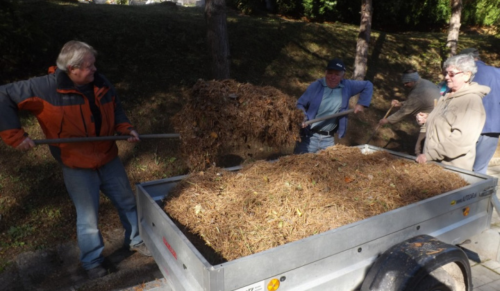 35. fotografia fotogalérie Jednota dôchodcov / Brigáda na cintorínoch