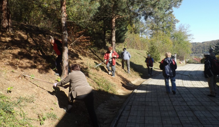 37. fotografia fotogalérie Jednota dôchodcov / Brigáda na cintorínoch