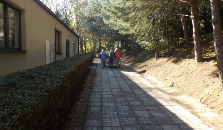 49. fotografia fotogalérie Jednota dôchodcov / Brigáda na cintorínoch