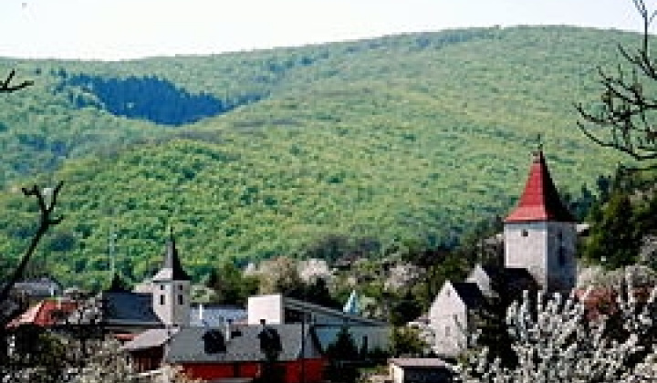 31. fotografia fotogalérie Cirkevné oznamy / Vianočný koncert